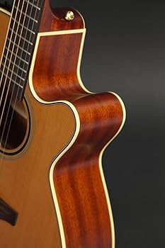 Amazon | Takamine タカミネ Pro Series 3 NEX Cutaway エレアコ